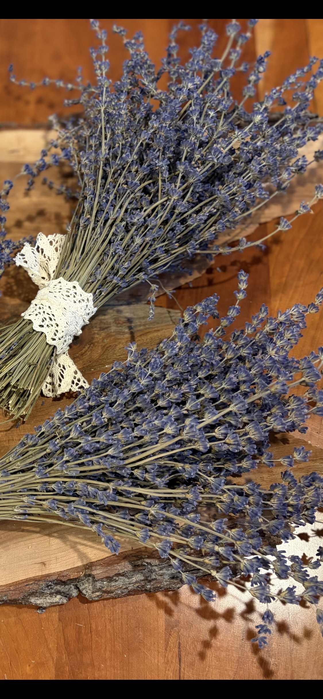 Dried Lavender Flower Bouquet - English Lavender
